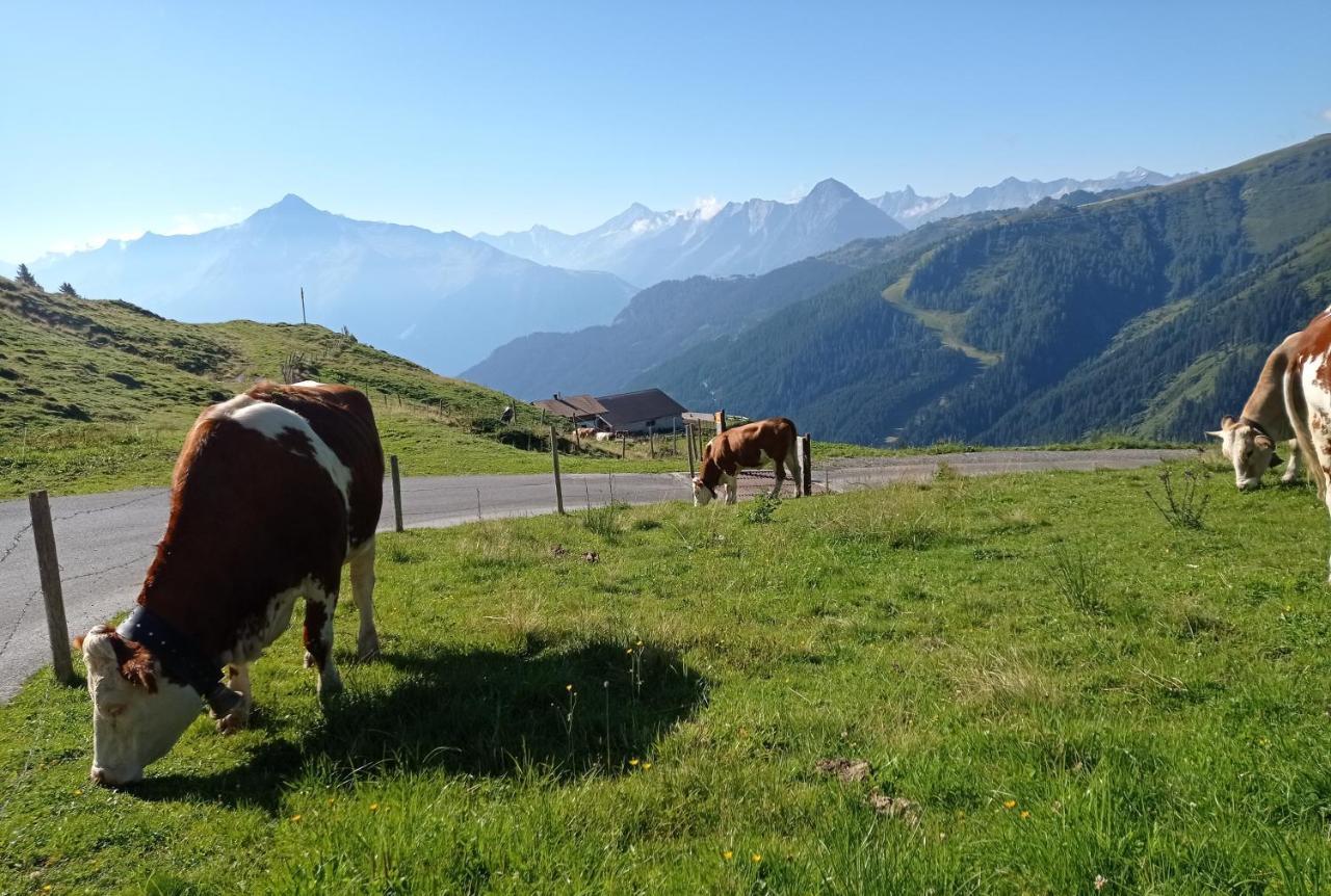 Apart Anna Mayrhofen Ngoại thất bức ảnh