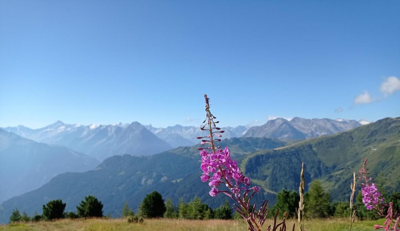 Apart Anna Mayrhofen Ngoại thất bức ảnh